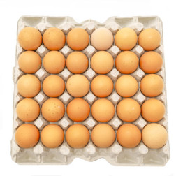 Cartón de Huevos 30 unidades