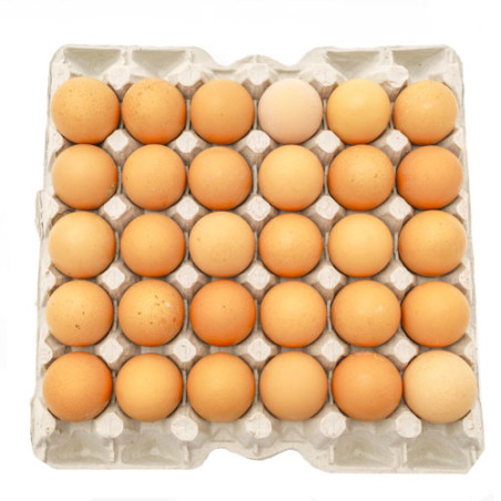 Cartón de Huevos 30 unidades