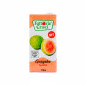 Succo di guava 1L