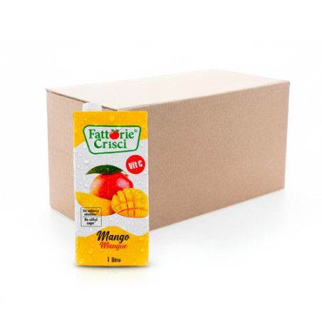 Succo di Mango 1L x 12