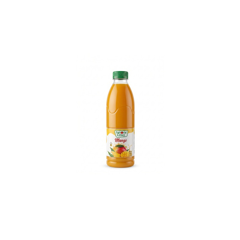 Néctar de Mango 500ml x 12